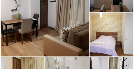 Rent for a flat in Bakuriani