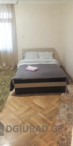 For rent in Borjomi daily