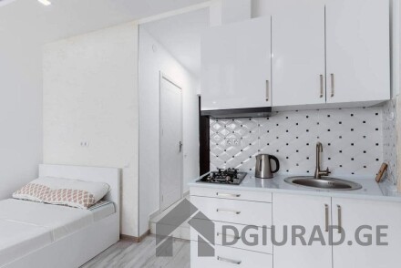 Daily studio apartment, 98 Gorgiladze Street