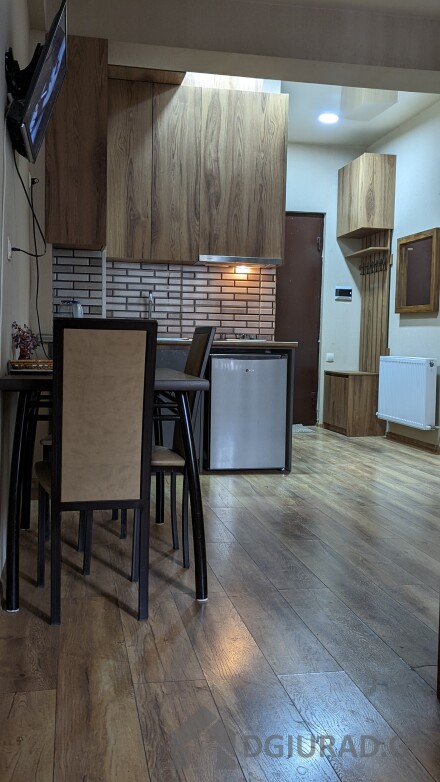 Apartment on Tsintsadze for daily and hourly rent