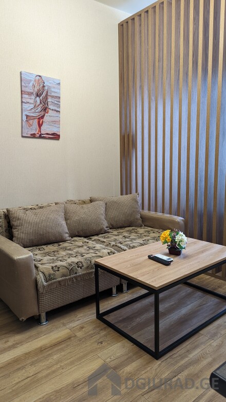 Apartment on Tsintsadze for daily and hourly rent