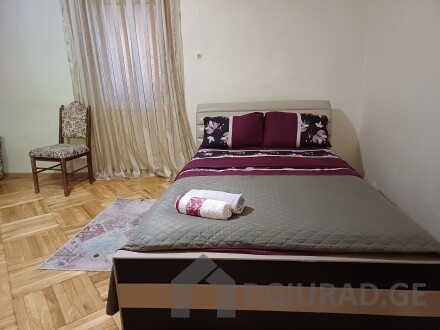 For rent in Borjomi daily