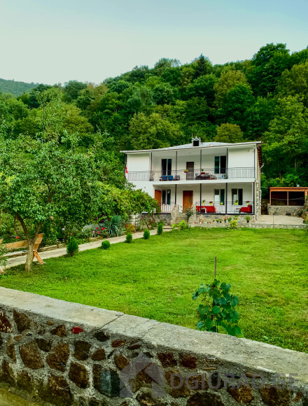 Cottage for rent in Borjomi