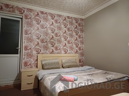 For rent in Borjomi daily