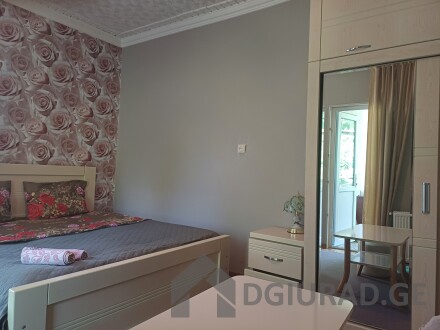 For rent in Borjomi daily