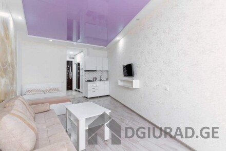 Studio apartment for rent on the 24th floor, Gorgiladze Street