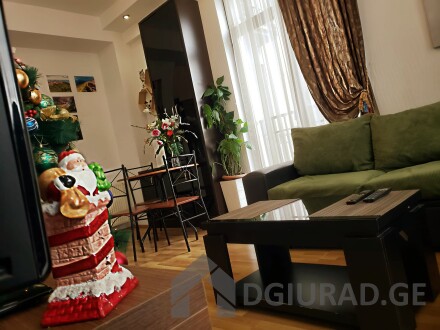 Warm and cozy apartment on Rustaveli Avenue