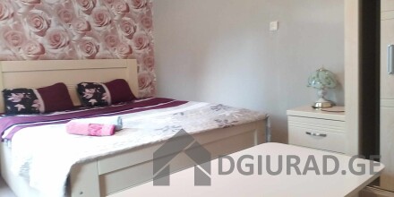 For rent in Borjomi daily