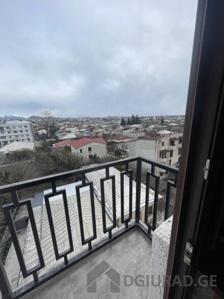 For daily rent in Rustaveli