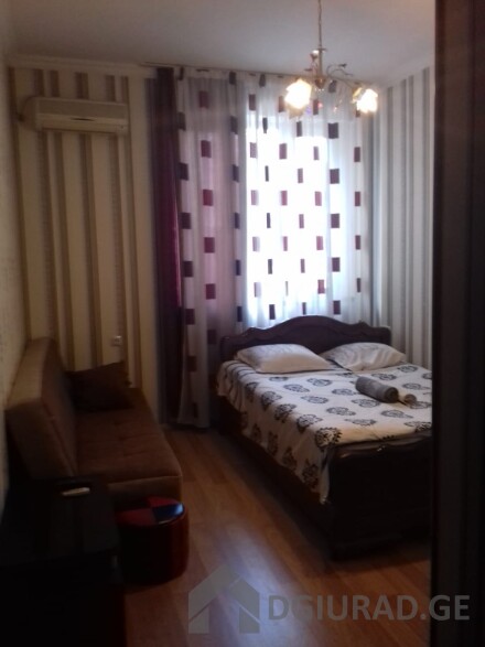 1 bedroom for 50 GEL freedom Square