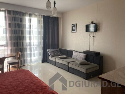 Bakuriani for rent flat